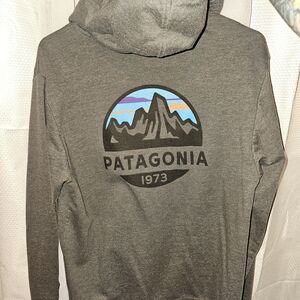 Patagonia Gray Hoodie with Multicolor Mountain Logo